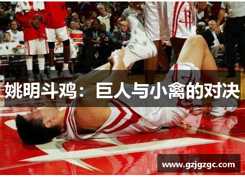 姚明斗鸡：巨人与小禽的对决