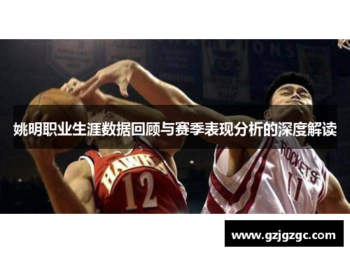 姚明职业生涯数据回顾与赛季表现分析的深度解读